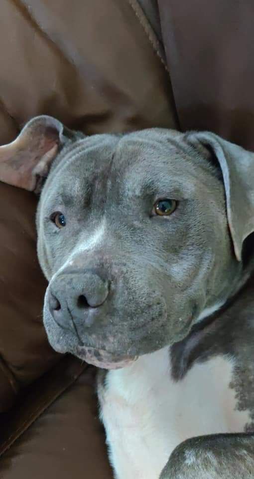 Bronson
